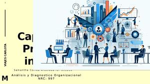 Capitulo 9 Procesos Internos Libro Diagnóstico Organizacional Samantha Correa Arboleda Id 831816