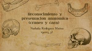 Brown Vintage Illustrated Anatomy Group Project Presentation (1)