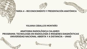 Anatomia Radiológica Calameo