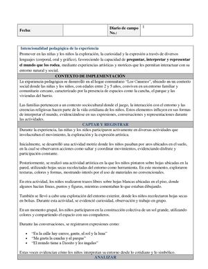 Anexo 1 Diario De Campo  BRIGITH TORRES