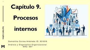 Capitulo 9 Procesos Internos Libro Diagnóstico Organizacional Samantha Correa Arboleda ID 831816 Pptx