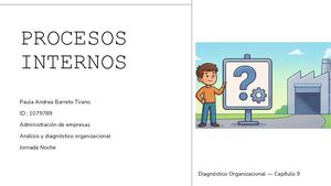 Procesos Internos Paula Barreto