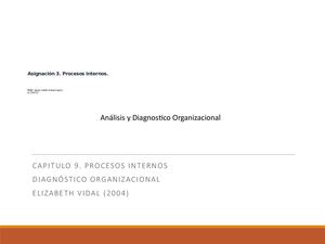 Procesos Internos Diagnostico Organizacional