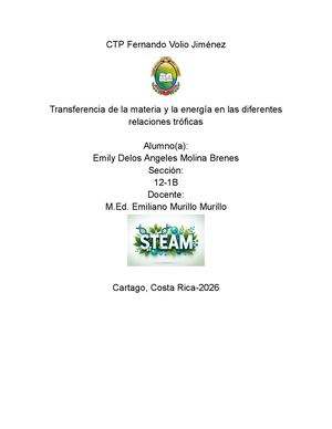 Transferencia De La Materia Y La Energía En Las Diferentes Relaciones Tróficas