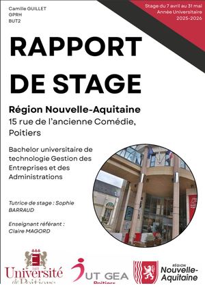 Rapport De Stage But2