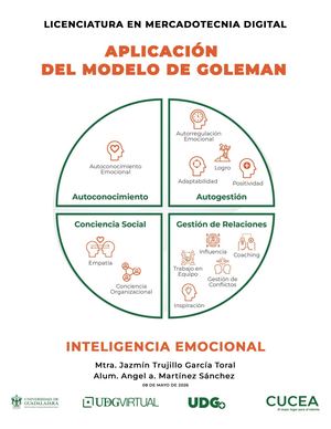 Aplicación del modelo de Goleman