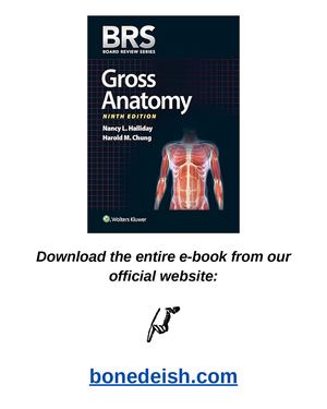 BRS Gross Anatomy (Board Review Series) 9th Edition pdf