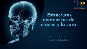 Presentación De Anatomía Del Cuerpo Humano Moderno Científico Azul Y Celeste