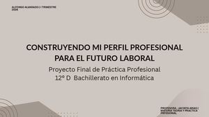 mi perfil profecional