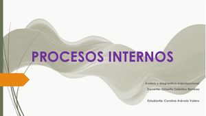 Procesos Internos