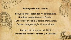Calameo Compressed