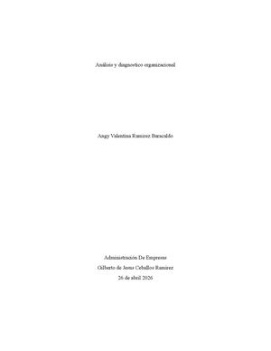 Analisis Organizacional