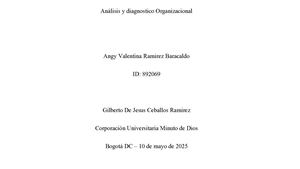 Analisis Organizacional