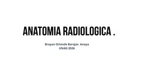 1 ¿Cuáles Son Los Estudios Radiográficos Que Comprenden Cráneo (Solo Estudios Sin Proyecciones) ·Radiografía De Cráneo Simple ·Radiografía De Base De Cráneo ·Radiografía De Huesos Del Cráneo (3)