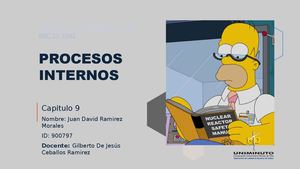 Procesos Internos Cap 9 Jdrm