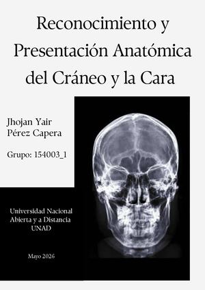Libro Digital