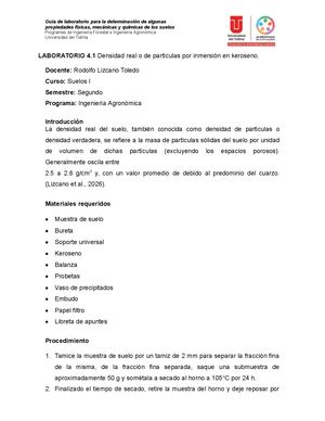 Laboratorio N4 Densidad Real