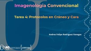 Protocolos Cráneo Y Cara