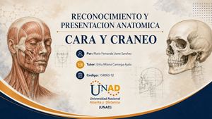 Estudios Radiográficos de cráneo y cara