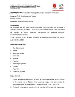 Laboratorio N4 Densidad Real