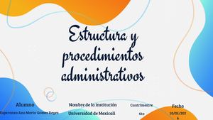 Estructuras Y Procedimientos Administrativos