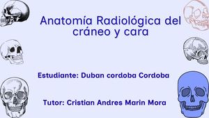 anatomía radiológica del cráneo