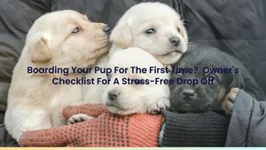 First Time Puppy Boarding: Owner's Checklist For A Stress-Free Drop Off