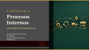 Cap 9 Libro Diag Organizacional