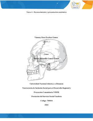 Calameo Anatomia