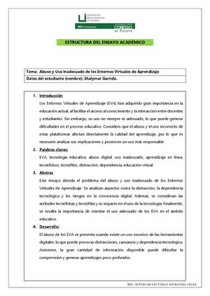 Ensayo Académico Estructura