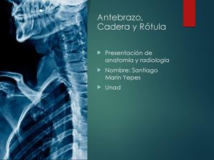 Presentacion Anatomia