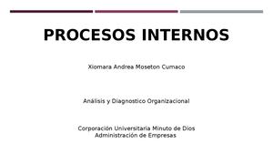 Análisis Y Diagnostico Organizacional 01