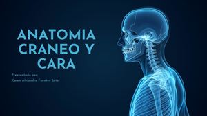 Craneo y Cara