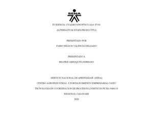 Alternativas Etapa Productiva