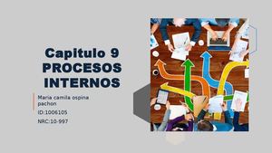 Capitulo 9 Procesos Internos