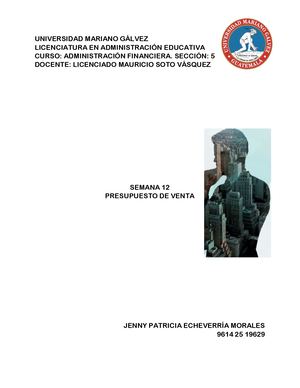 Presupuesto De Venta