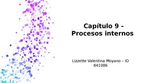 Capítulo 9 Procesos Internos