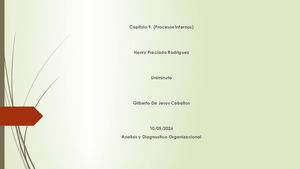 Procesos Internos Analisis Y Diagnostico