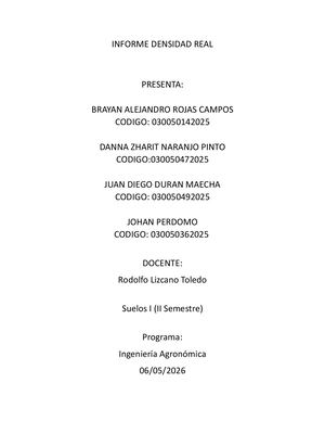 Informe Densidad Real Jhoan, Brayan, Diego, Danna