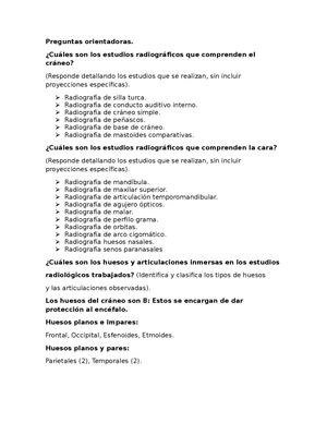 Tarea 4 Anatomia Radiologica
