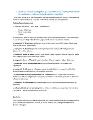 Cráneo Y Cara Calameo