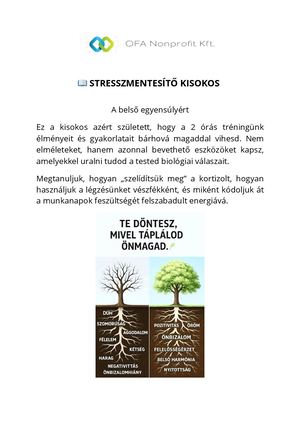 Mindfullnes Kisokos