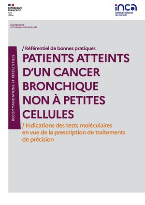 Patients atteints d’un cancer bronchique non à petites cellules : indications des tests moléculaires en vue de la prescription de traitements de précision