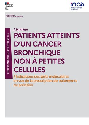 Patients atteints d’un cancer bronchique non à petites cellules : indications des tests moléculaires en vue de la prescription de traitements de précision / Synthèse