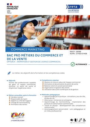 Glm Bac Pro Metier Du Commerce Et De La Vente A Sonia Delaunay Alternance