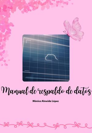 Manual De Respaldo De Datos