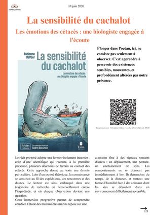 La Sensibilité Du Cachalot Les éMotions Des Cétacés Une Biologiste Engagée à L'écoute Cortex Sciences Chronique 2026