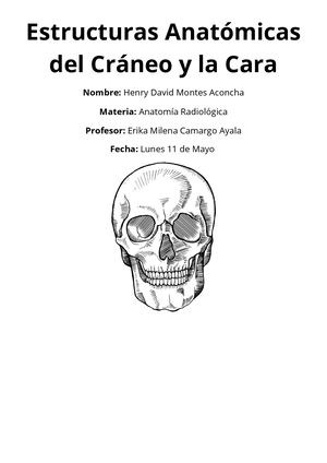 Estructuras Anatómicas Del Craneo Y La Cara