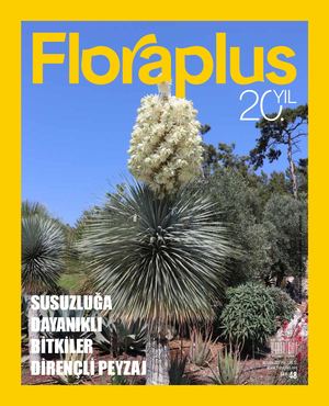48 Floraplus Kitap