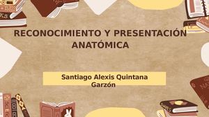 Anatomía Radiológica